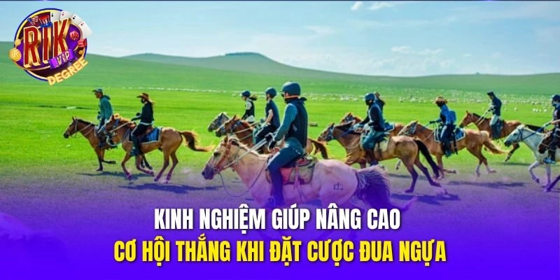 Kinh nghiệm giúp nâng cao cơ hội thắng khi đặt cược đua ngựa