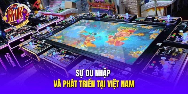 Sự du nhập và phát triển tại Việt Nam